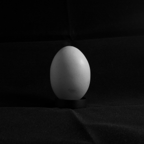 Egg-2