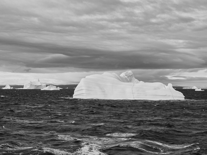 iceberg-for-wordpress-3